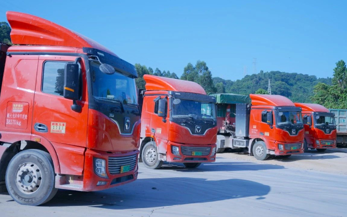 零碳先鋒 | 百臺徐工新能源助力福建客戶成功創(chuàng)富！